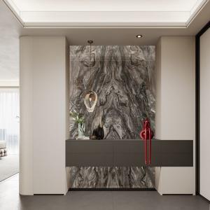 China Moisture-Resistant Steelform Shoe Cabinet Sleek Storage Modern Durability factory