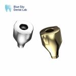 Scan Body All In One Dental Healing Capsule Blue Sky Implant System