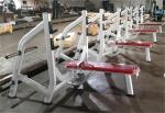 Befreeman High Quality Gym Equipment Wholesale Hot Sale Incline Bench Pin Load