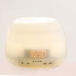 Elegant Warm Light 400ml Ultrasonic Essential Oil Diffuser