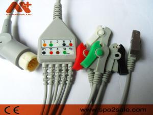 China Philips Compatible 5 Lead Clip Direct-Connect ECG Cable - M1975A factory