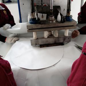 Weather Resistant Biogas Gas Holder Digester Mounted Double Membrane