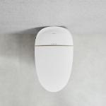 Automatic Flush One Piece Smart Toilet Seat Heating 690x410x470mm