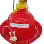 Automatic Plasson drinkers chicken feed