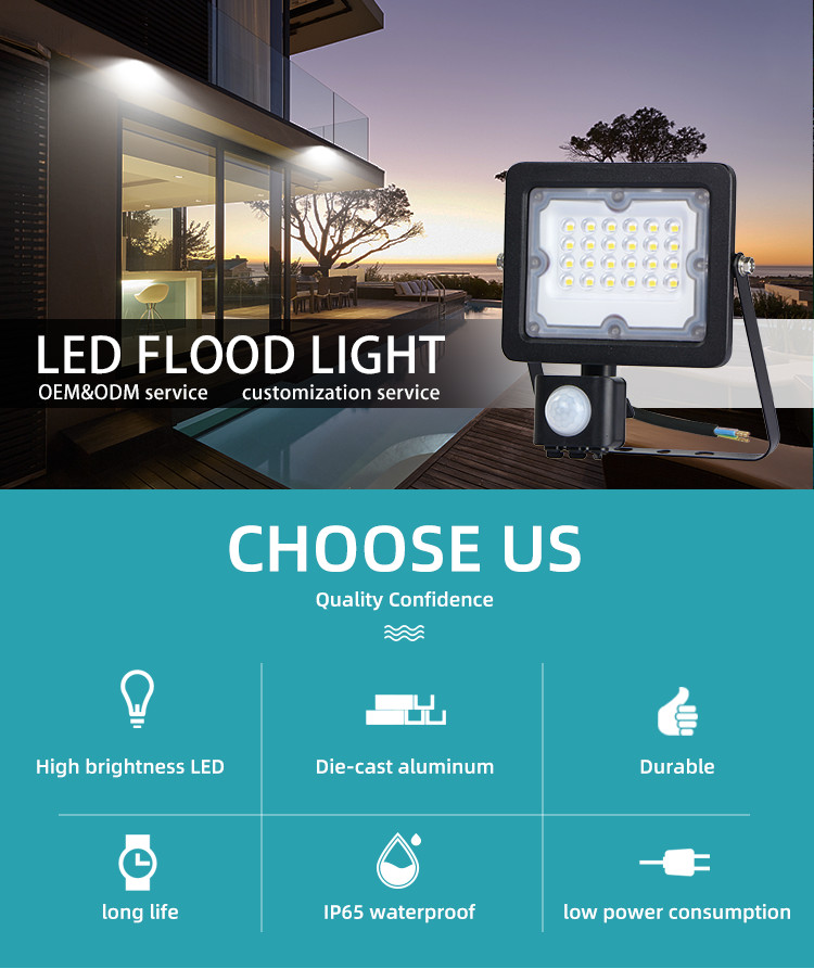 260V Security LED Floodlights Eave Mount 10 W 30 W 50 W Outdoor Motion Sensor Flood Light