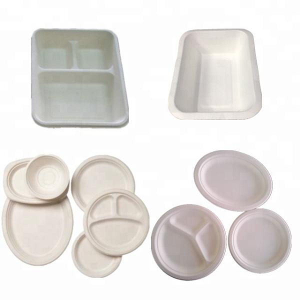 China Clamshell Waste Paper Tray Thermoforming Machine 100kw Tableware Making factory