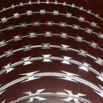 Sell Well New Type Gill Net Galvanized Stinging Cage Anti Climb The Barbed-Wire
