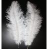 Buy cheap Hat Decoration Millinery Feather Small Ostrich Plumes Feather for Events from wholesalers