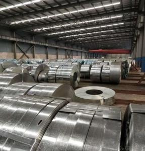 China Cold Rolled Galvanized Coil Sheet DX51D Z275 Steel Rolls G90 G60 factory