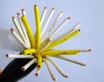 PVC Insulation Flexible Shield Round Control Cable KVV 450/750V in grey color