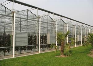 China Agricultural Modular Greenhouse Strong Coating Toughness Design Shouguan factory