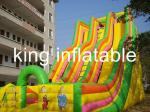 Giant Double Lane Inflatable Dry Slide Colorful Cartoon Printing For Amusement