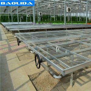 China Galvanized Greenhouse Rolling Benches / Greenhouse Benches And Tables factory