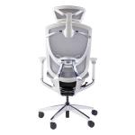 Ergo Swivel Chair Sync Sliding Swivel Seating Ergonomic Chair Mesh Office Chairs