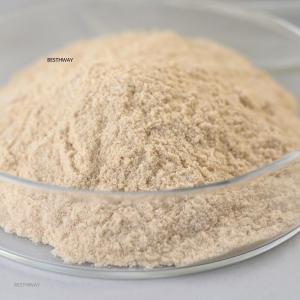 China Thermostable Alkaline Protease Biodiesel Enzyme Hydrolyze Proteins factory