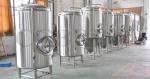 300L stainless steel craft beer brewing equipment commercial for brewpub