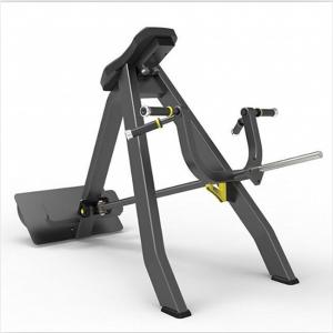 China Home T Bar Row Commercial Plate Loaded Arms Back Workout Incline Level factory
