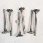 NT855 machinery parts diesel engine valve intake valve 135957 3000926 4955698