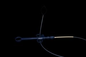 China Medical Devices Sterilized Flexible Acusnare Polypectomy Snare CE Approval factory