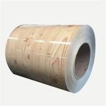 0.15mm-1.5mm PPGI Steel Coil Manufacturers Custom Available