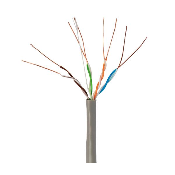 Cat5e U/UTP 0.5m Category 5 Network LAN Cable Customized Jacket