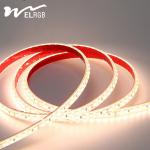 12V 24V IP68 Waterproof Outdoor LED Strip Lights 120leds/M LED Night Light