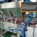 Clamshell Fresh Fruit Vegetable Packing Machine Kale Spinach Cherries Strawberry