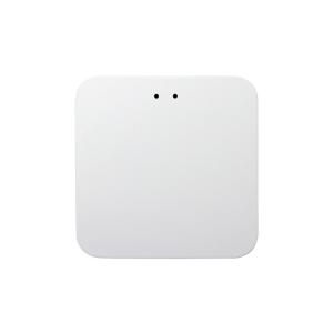 China 2.4G BLE5.0 Tuya Zigbee Gateway ANDROID Wireless Smart Gateway factory