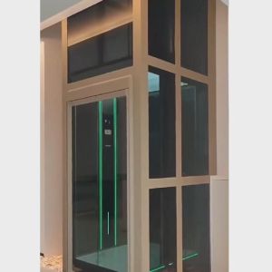 China Quiet Traction Home Elevator | Classic Single Swing Door on sale