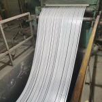 DX51D Prepainted Color Steel Coil White Ral 9003 9016 Ppgi Strips