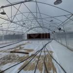 High Tunnel Single Span Tomato Hydroponic System Low Cost Plastic Greenhouse