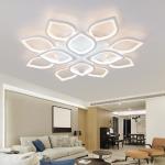 Living room Bedroom Sitting room centre ceiling lights with remote controller