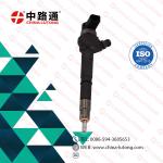common rail diesel fuel injector 0 445 110 646 for nissan common rail injectors