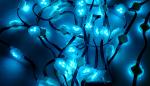 6m Per Row LED Strip Light IP67 Rated Suitable For Garden Park Lighting
