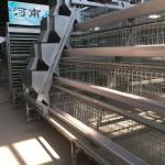 A Type 96 or 128 Capacity Automatic Layer Battery Chicken Cage