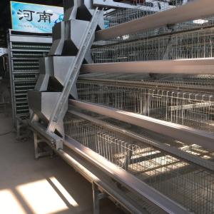 China Automatic Egg Layer Chicken Cage Poultry Equipment For South Africa Farm factory