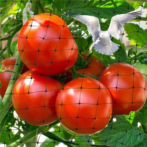 8-100GSM Black PP Plastic Stretch Anti-Bird Netting for Chicken Farm Fence and