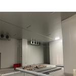 Freon Refrigerant Cold Room Freezer and Cooler Room with 10 Years After-sales