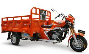 China Orange Chinese 3 Wheeler Cargo Tricycle Motorcycle With Big Footrest factory