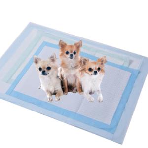 China Eco Friendly Disposable Puppy Training Pads Leak Proof High Absorbency Pet Cat Pee Pad factory