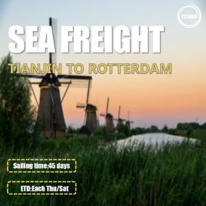 China 2 Shifts Per Week Worldwide Sea Freight From Tianjin To Rotterdam Netherlands factory