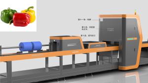 China 1 Channel Vegetable Sorting Machine Stainless Steel Robot Type For Bell Pepper factory