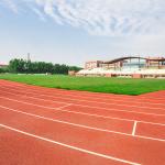 Fire Resistant Sandwich System Running Track Moisture Proof playground