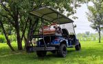 6 Seater Mini Off Road Club Car Golf Cart 480kgs Max Speed 50km/H 4 Wheel Drive
