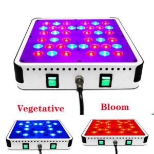 China CIDLY LED 5 watt led grow lights for veg and flower hot 2016 led grow light factory