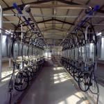 380v 7.5KW Automated Milking Parlour Herringbone Type