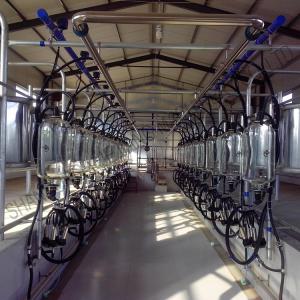 China 380v 7.5KW Automated Milking Parlour Herringbone Type factory