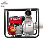 5KW High Flow Capacity Agriculture Water Pumps Small Portable For Farm