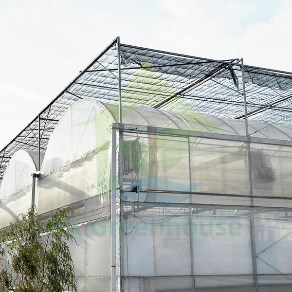 Agriculture Plastic Film Polytunnel Multi-span Strawberry Greenhouse