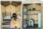ODM ISO9001 Plastic Shed House , Steel Handle Large Outdoor Plastic Storage
